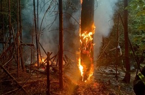 Feuerwehr Stuttgart: FW Stuttgart: Freitag, 17.06.2022: Bereits erster Waldbrand in Stuttgart - Feuerwehr warnt vor hoher Waldbrandgefahr