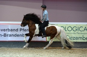Messe Berlin GmbH: Hollywood setzt auf American Saddlebred Horses - Berlins Pferdesportevent HIPPOLOGICA stellt die Pferderasse vor (FOTO)