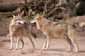 Erlebnispark Tripsdrill: Faschingsferien im Wildparadies Tripsdrill