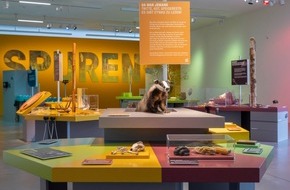 Naturmuseum St. Gallen: Auf der richtigen Spur: Sonderausstellung &laquo;Spuren &ndash;&nbsp;F&auml;hrten, Frass und Federn&raquo; im Naturmuseum St.Gallen