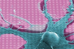 Infineon Technologies AG: Neuro-Chip von Infineon kann Gedanken lesen / Neue Erkenntnisse in der Hirnforschung erwartet
