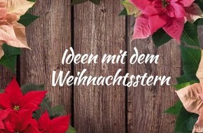 Schöne Deko-Ideen für die Adventszeit: Entdecken Sie unser Upcycling-DIY-Video mit Weihnachtssternen!