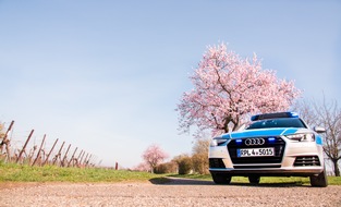 Polizeidirektion Landau: POL-PDLD: Linker Fahrstreifen blockiert