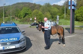 Polizeidirektion Kaiserslautern: POL-PDKL: Tierisch verkehrssicher