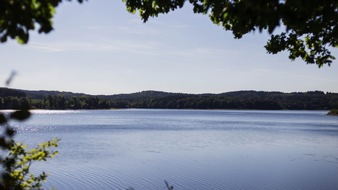 FriedWald GmbH: Mehr Flexibilität im FriedWald