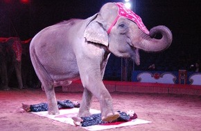 Aktionsbündnis "Tiere gehören zum Circus": Zirkus-Festival von Monte Carlo: Aktionsbündnis "Tiere gehören zum Circus" fordert ARD auf, das Festival bei der Ausstrahlung nicht zu verfälschen