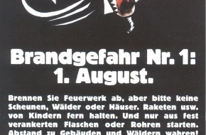 BfB / Cipi: 1. August: Feuerwerk - aber ohne Feuerwehr!