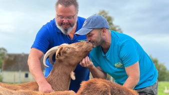 ZDF: Besinnung, Umkehr und Gnade: ZDF-Programm zum Buß- und Bettag