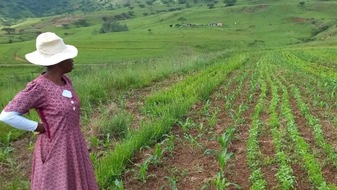 Global Nature Fund: Weltwassertag 2026: &bdquo;Wasser ist Leben&ldquo;