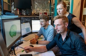 Universität Bremen: Meilenstein der Hirnforschung: Bremer Team entschlüsselt Informationsverarbeitung