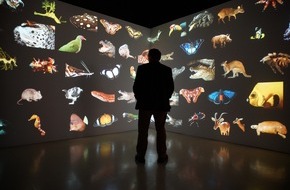 Nat Geo Wild: Atemberaubende Aufnahmen: "Photo Ark mit Joel Sartore" begleitet den Fotografen auf seiner Mission zur Rettung der Tiere