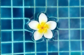 Oehler Web: Mit dem Frühling kommt die Poolvorbereitung - Schwimmbadscout.ch für Ihre Poolreinigung & Zubehör