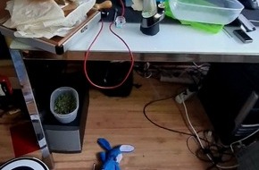 Polizei Düsseldorf: POL-D: Eller - Ermittler heben "Drogenlabor" aus - Hochpreisiges Equipment, Butangas und etwa sieben Kilo Marihuana sichergestellt