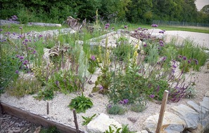 Deutschland summt!-Pflanzwettbewerb: Beste Naturgartenprojekte 2026 ausgezeichnet