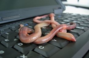 Computacenter: Schützen Sie Ihre IT vor Würmern