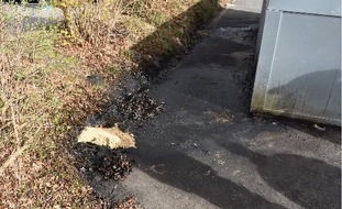 Polizeiinspektion Emsland/Grafschaft Bentheim: POL-EL: Meppen - Illegale Entsorgung von Alt&ouml;l in einem Altglascontainer - Zeugen gesucht