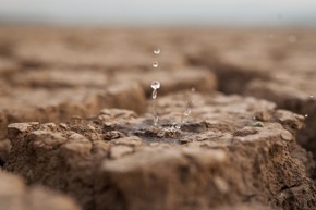 Trockenheit im Erdboden hält an - Viel zu wenig Niederschlag