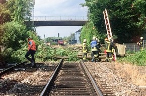 Bundespolizeiinspektion Konstanz: BPOLI-KN: Zug kollidiert mit Baum nahe Bahnhof Ravensburg/ Abschlussmeldung