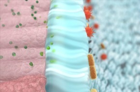 G. Pohl-Boskamp GmbH & Co. KG: ELOM-080 in der ambulanten Behandlung von COVID-19 / Ergebnisse der COVARI-2-Studie publiziert