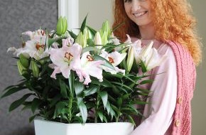 Blumenbüro: Lilie ist Zimmerpflanze des Monats Februar / Als Zimmerpflanze zeigt die elegante Lilie ihre Vielfalt (mit Bild)