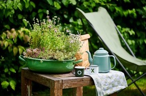 Blumenbüro: Outdoor-Pflanzen für trockene Sommertage / Tipps für die heiße Jahreszeit