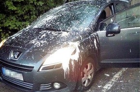 Polizeipräsidium Westpfalz: POL-PPWP: Zerstörungswut an Auto ausgelassen