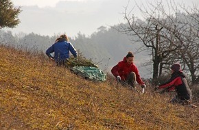 Bergwaldprojekt e.V.: Einsatz für wertvollen Kalkmagerrasen in Steinbach-Hallenberg – noch Freiwillige gesucht