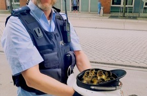 Polizei Hagen: POL-HA: Polizisten retten Entenfamilie