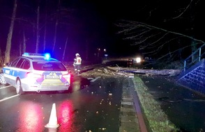 Polizei Rheinisch-Bergischer Kreis: POL-RBK: Odenthal - Umgestürzter Baum stoppt Mercedes