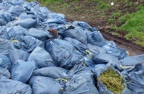 Polizei Düren: POL-DN: Müllsäcke mit Cannabispflanzenresten illegal entsorgt