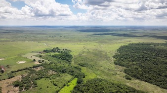 Global TREE Project AG: Microsoft und Co. erhöhen erneut Investitionen in Aufforstungsprojekte / Schweizer GTP AG setzt globale Initiative zur Aufforstung um