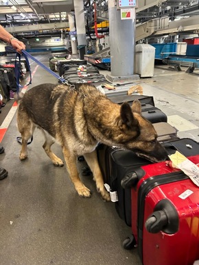 HZA-K: Rund 20 Kilo Marihuana in einem Koffer, fast 17 Kilo Potenzhonig, mehr als 3,6 Kilo geschmuggelter Goldschmuck / Kölner Zoll zieht Sommerferienbilanz am Flughafen