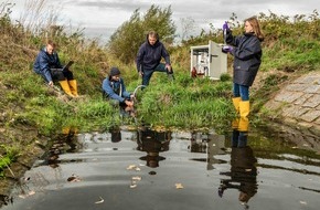 Deutsche Bundesstiftung Umwelt (DBU): DBU: Pestizide schaden Artenvielfalt – selbst in Schutzgebieten