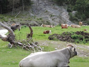 Naturpark Karwendel &amp; lavera - Gemeinsam für den Erhalt der Natur