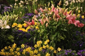 Messe Berlin GmbH: Grüne Woche 2013: Boulevard der Blumen (BILD)