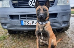 Polizeiinspektion Osnabr&uuml;ck: POL-OS: Osnabr&uuml;ck/Georgsmarienh&uuml;tte/Hagen a.T.W.: Spektakul&auml;rer Ermittlungserfolg - Polizei deckt Heroinhandel in der Osnabr&uuml;cker Innenstadt auf - &Uuml;ber 20 Abnehmer identifiziert - 46-J&auml;hriger in U-Haft