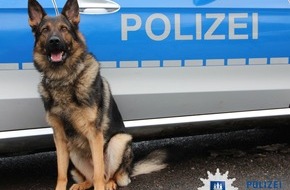 Polizei Hamburg: POL-HH: 180708-3. Wohnungseinbrecher dem Haftrichter zugeführt