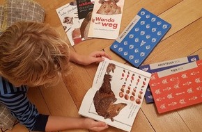 SJW Schweizerisches Jugendschriftenwerk: Die neue Geschenk BOX mit vier frechen Geschichten des preisgekrönten Schweizer Kinderbuchduos Pauli & Schärer lässt alle Leseherzen höher schlagen - oder schneller