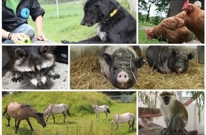 Deutscher Tierschutzbund e.V.: Presseeinladung: 15 Jahre Tierschutzzentrum Weidefeld