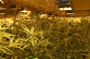 Polizei Düsseldorf: POL-D: Düsseldorf / Duisburg - Ermittlungen führen zu Profi-Cannabisplantage - Fast 1000 Pflanzen sichergestellt - Zwei Tatverdächtige festgenommen - Haftrichter