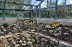 Universit&auml;t Osnabr&uuml;ck: Wie &uuml;berstehen Pflanzen Hitze und Trockenheit? Er&ouml;ffnung des neuen Mittelmeerhauses im Botanischen Garten der Uni Osnabr&uuml;ck