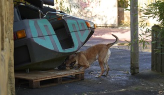 Zentrale Polizeidirektion Hannover: ZPD-H: Tag der Super-Sp&uuml;rnasen im Heide Park Resort
