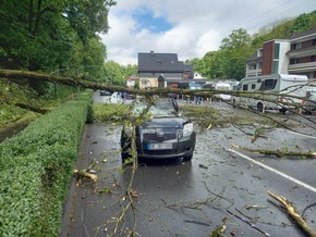 FW-EN: Massiver Baum st&uuml;rze auf fahrenden Pkw - Zwei Verletzte bei Unfall in Herdecke - Gro&szlig;es Gl&uuml;ck f&uuml;r Insassen