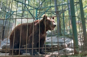 VIER PFOTEN - Stiftung für Tierschutz: Vier Braunbären leiden in Slowenien in grausamer Privathaltung