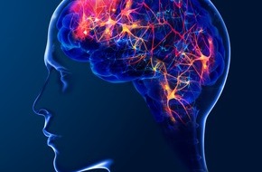 BTL Medizintechnik GmbH: Anti-Aging fürs Gehirn: Magnetstimulation stärkt mentale Gesundheit messbar und medikamentenfrei