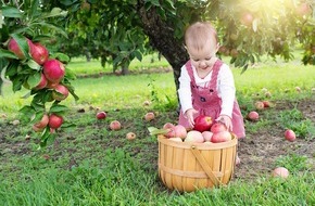 Bund deutscher Baumschulen (BdB) e.V.: Mehr Bäume für Kinder - Warum Obstgehölze auf Kita-Geländen wichtig sind
