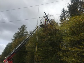 FW Lügde: Technische Hilfe / Baum in 30 KV Leitung