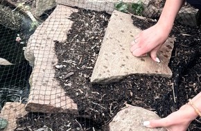 Kreispolizeibeh&ouml;rde Unna: POL-UN: Schwerte - B&uuml;rgerin meldet Vogel in Not - Polizisten retten das Tier