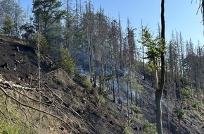 Polizeiinspektion Göttingen: POL-GÖ: (313/2023) Großbrand am Ravensberg - Etwa 20.000 Quadratmeter Wald vernichtet, Brandursache weiterhin unklar, Polizei Bad Lauterberg ermittelt