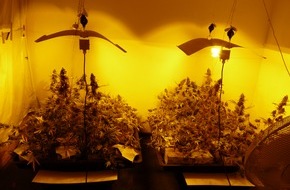 Polizeipräsidium Aalen: POL-AA: Ostalbkreis: Cannabis-Plantage entdeckt-Tatverdächtiger in U-Haft